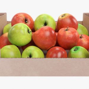 Hộp carton đựng thực phẩm, dễ dàng vận chuyển