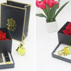 Xưởng in bao bì QT cung cấp các sản phẩm hộp giấy gói quà chất lượng, đẹp mắt