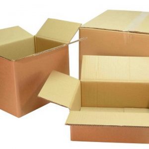 Khái niệm về thùng carton a1