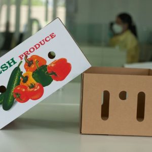 thung-carton-in-flexo-la-gi