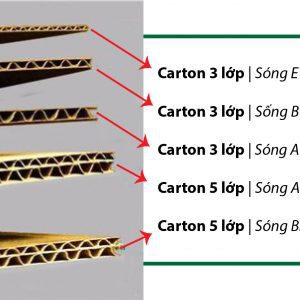 Cấu tạo thùng carton 3 lớp sóng E, A, B, AB. BE