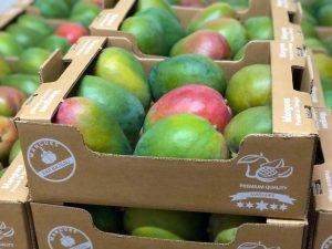 Thùng carton theo ngành hàng Đà Lạt