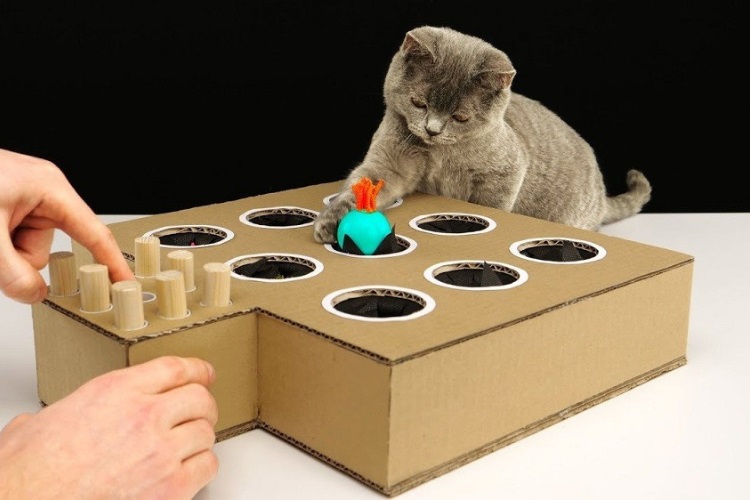 Đồ chơi độc đáo làm từ thùng carton