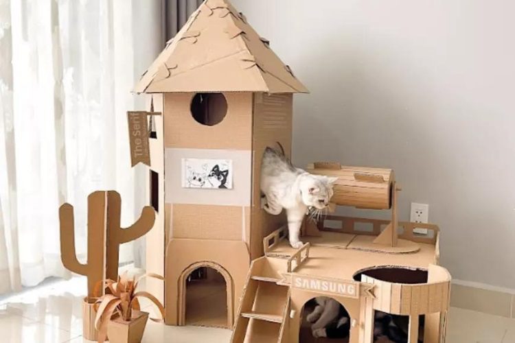 Ngôi nhà trong mơ của “Hoàng thượng” được làm từ thùng carton