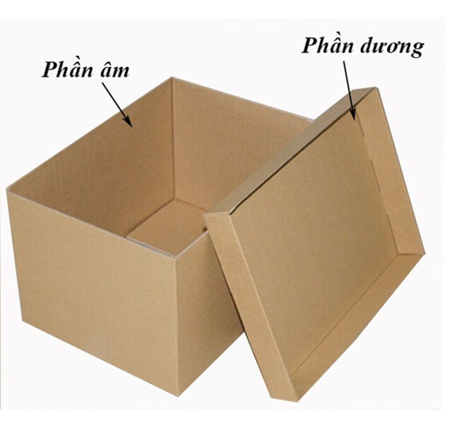 Thùng carton âm dương