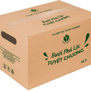 Thùng carton đựng bưởi