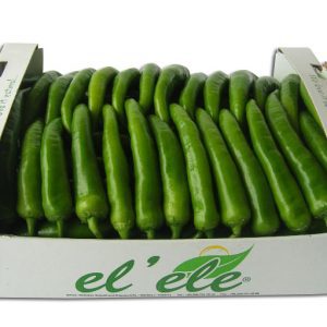 Thùng carton đựng ớt xuất khẩu