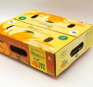 Thùng carton đựng xoài xuất khẩu