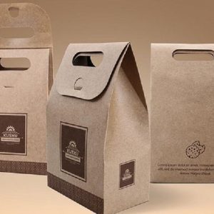 Mẫu túi giấy đựng bột