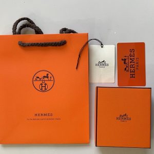 Túi giấy cao cấp dáng đứng kết hợp dây vải bệnh