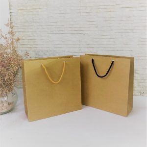 Túi giấy Kraft