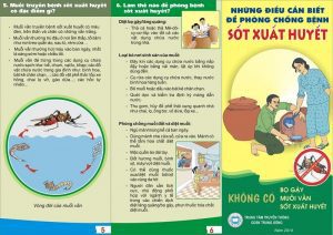 Tìm hiểu về tờ rơi phòng chống sốt xuất huyết