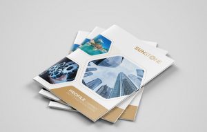 Bìa hồ sơ company profile đẹp sẽ giúp mang đến nhiều lợi ý cho sự phát triển của doanh nghiệp