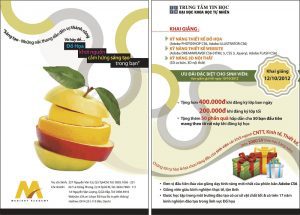 Chia sẻ cách download tờ rơi quảng cáo đẹp, đơn giản, nhanh chóng