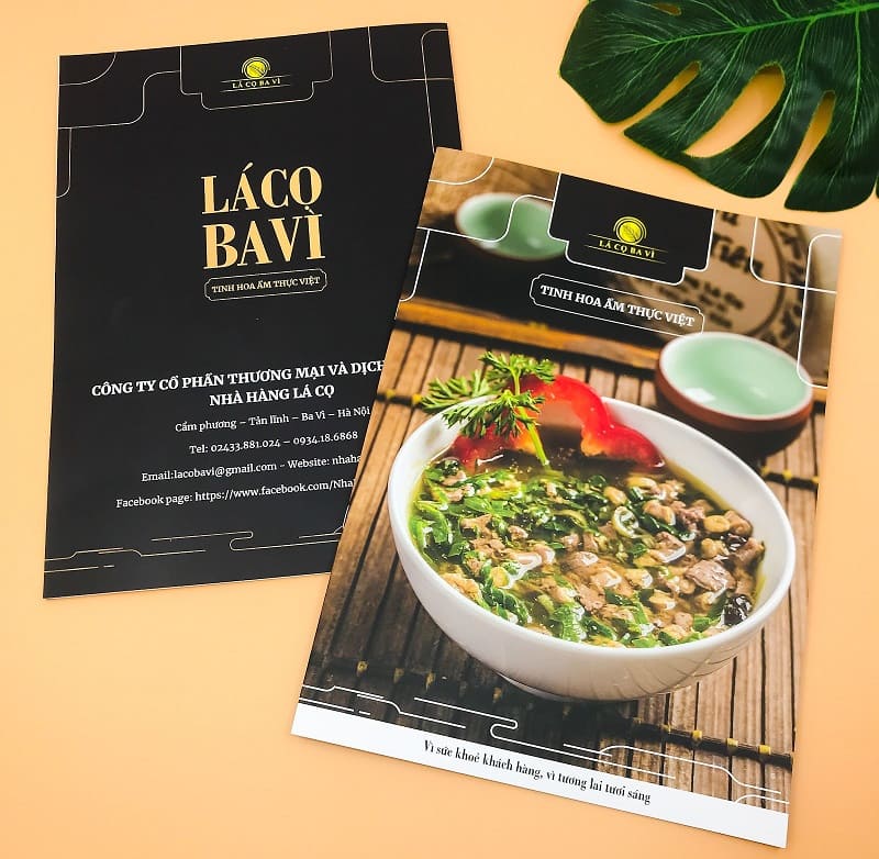 Thiết kế nội dung cho catalogue bằng CorelDRAW