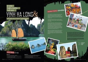 Mẫu catalogue du lịch Vịnh Hạ Long, sáng tạo, sinh động và bắt mắt
