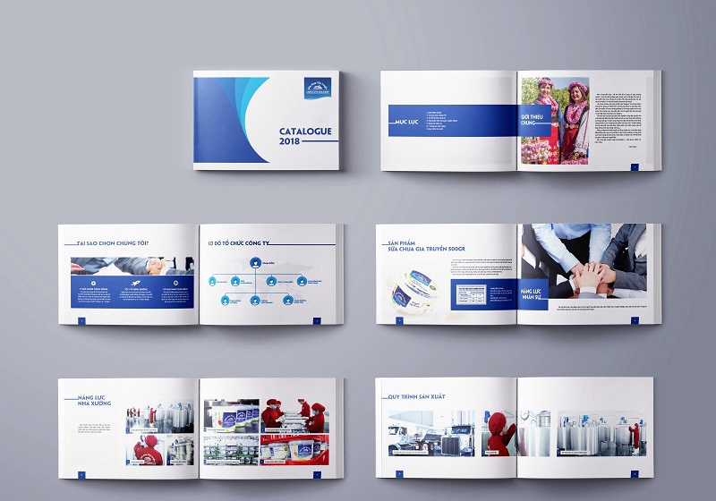 Hướng dẫn cách thiết kế catalogue hiệu quả