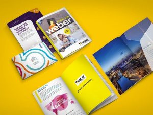 Thiết kế catalogue