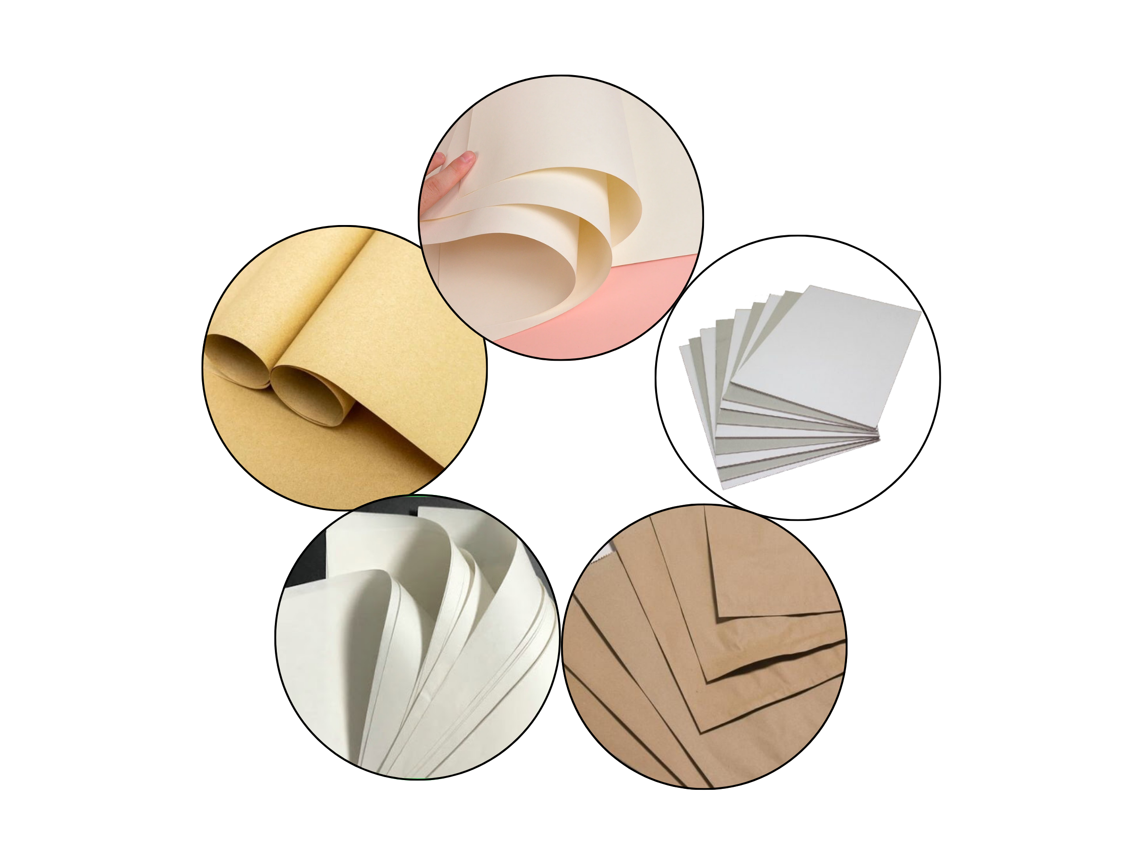 In hộp carton giá rẻ: các loại giấy